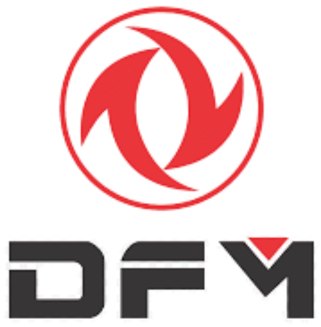 Logo DFM